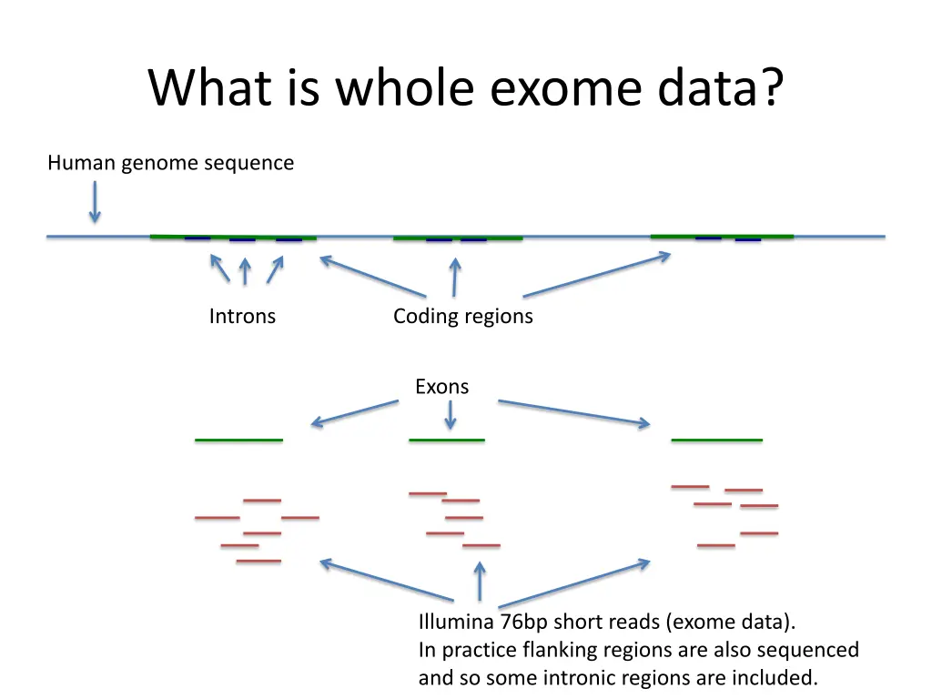what is whole exome data