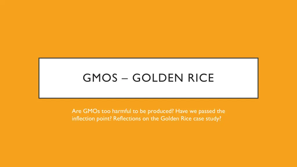 gmos golden rice