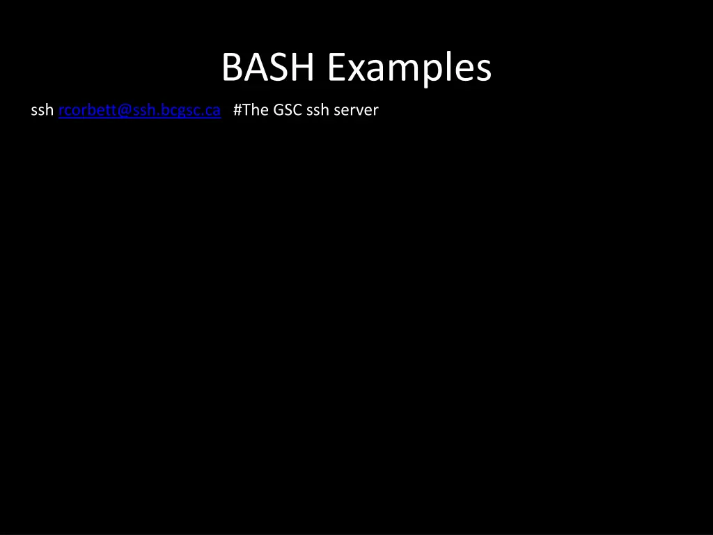 bash examples