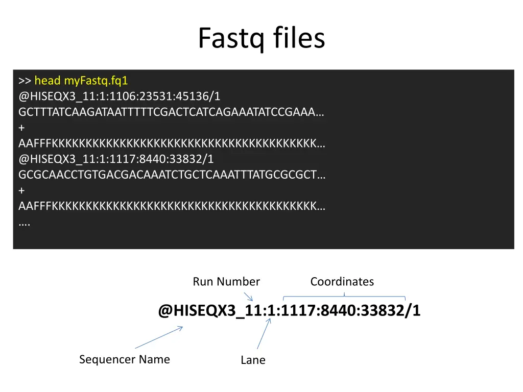 fastq files