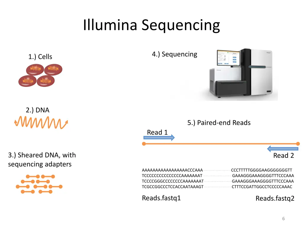 illumina sequencing