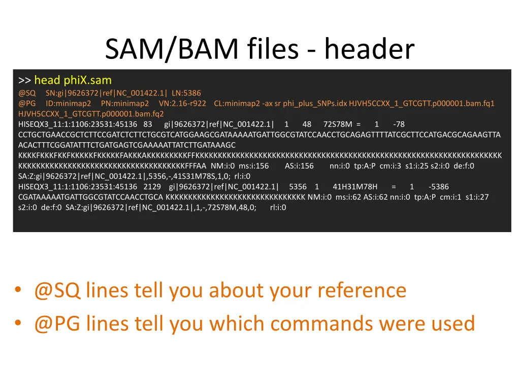 sam bam files header