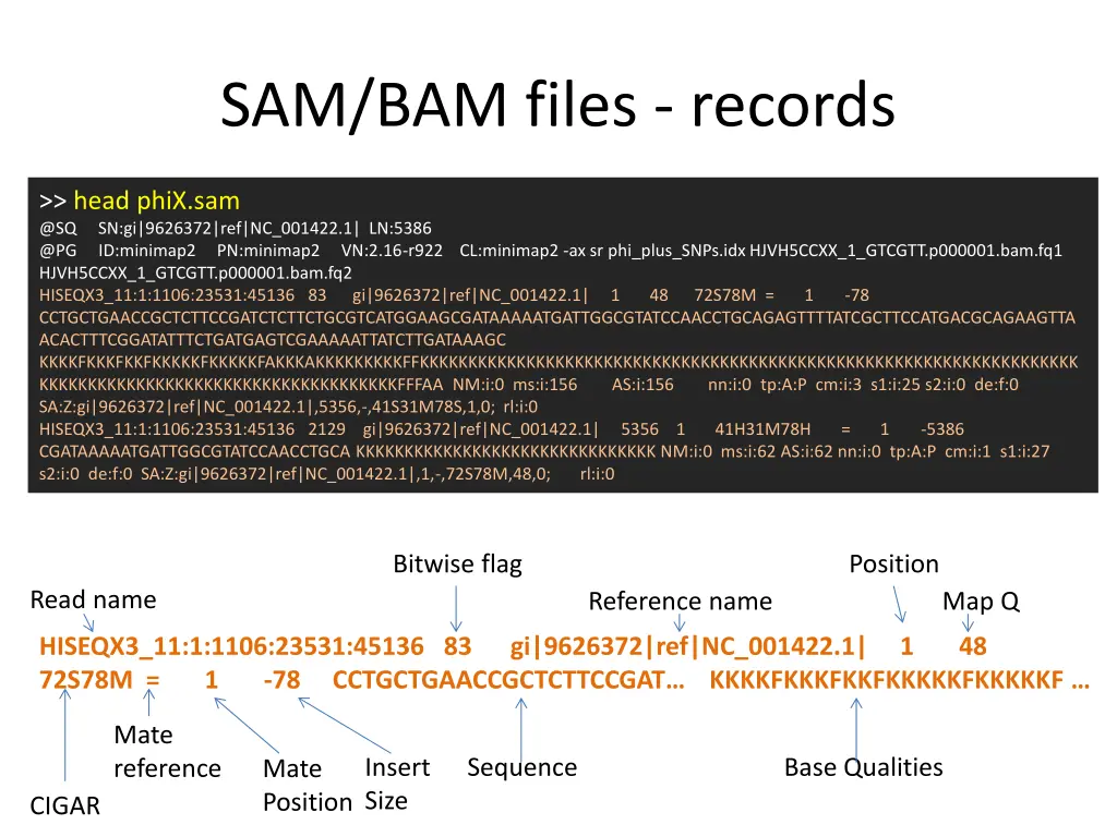 sam bam files records