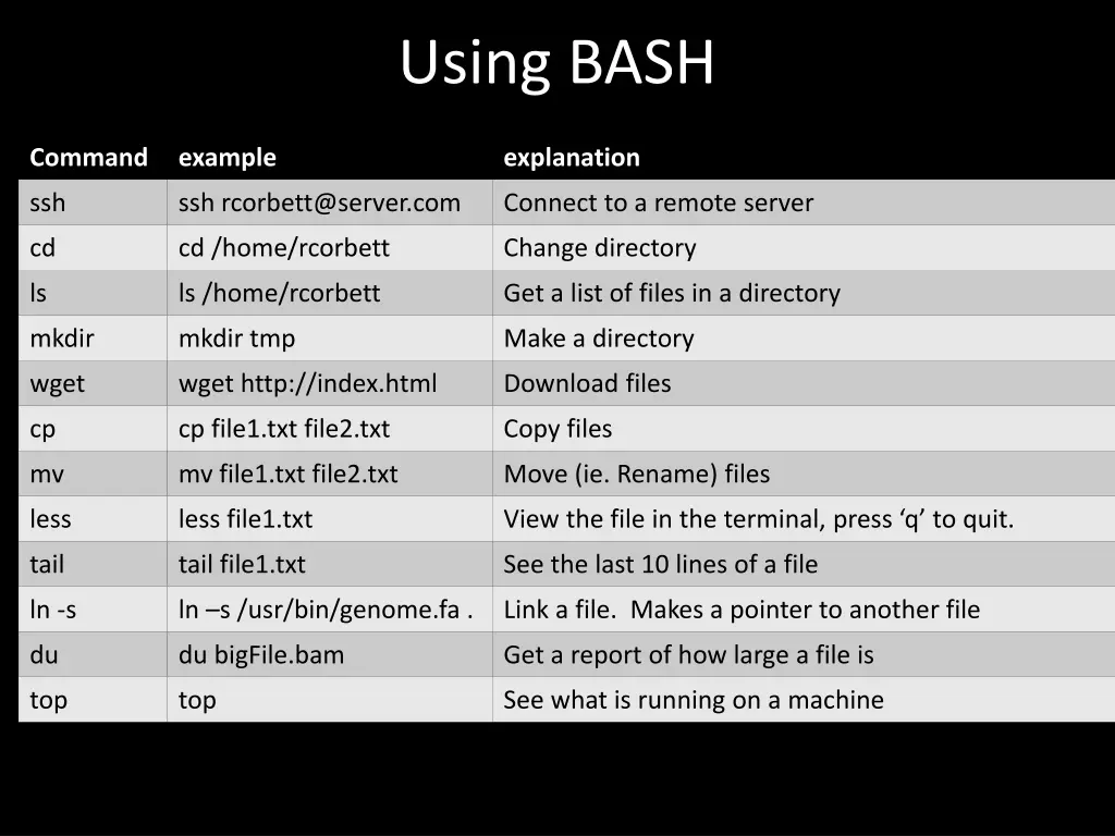 using bash