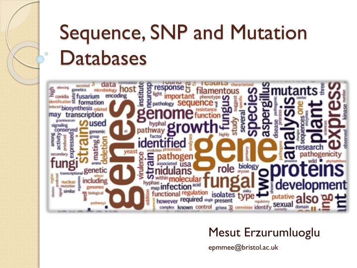sequence snp and mutation databases