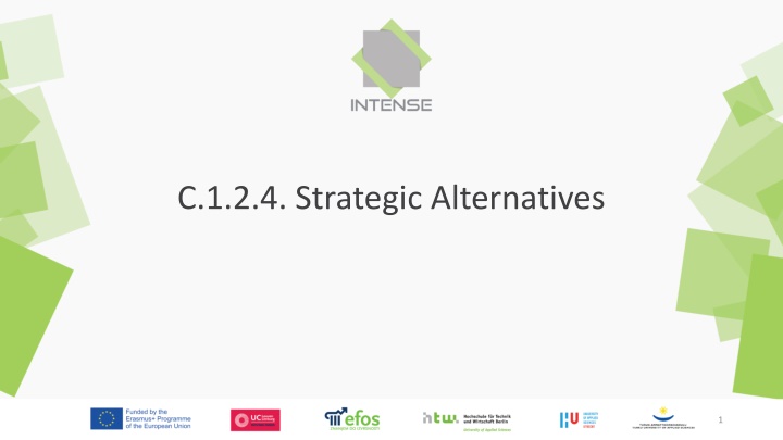 c 1 2 4 strategic alternatives