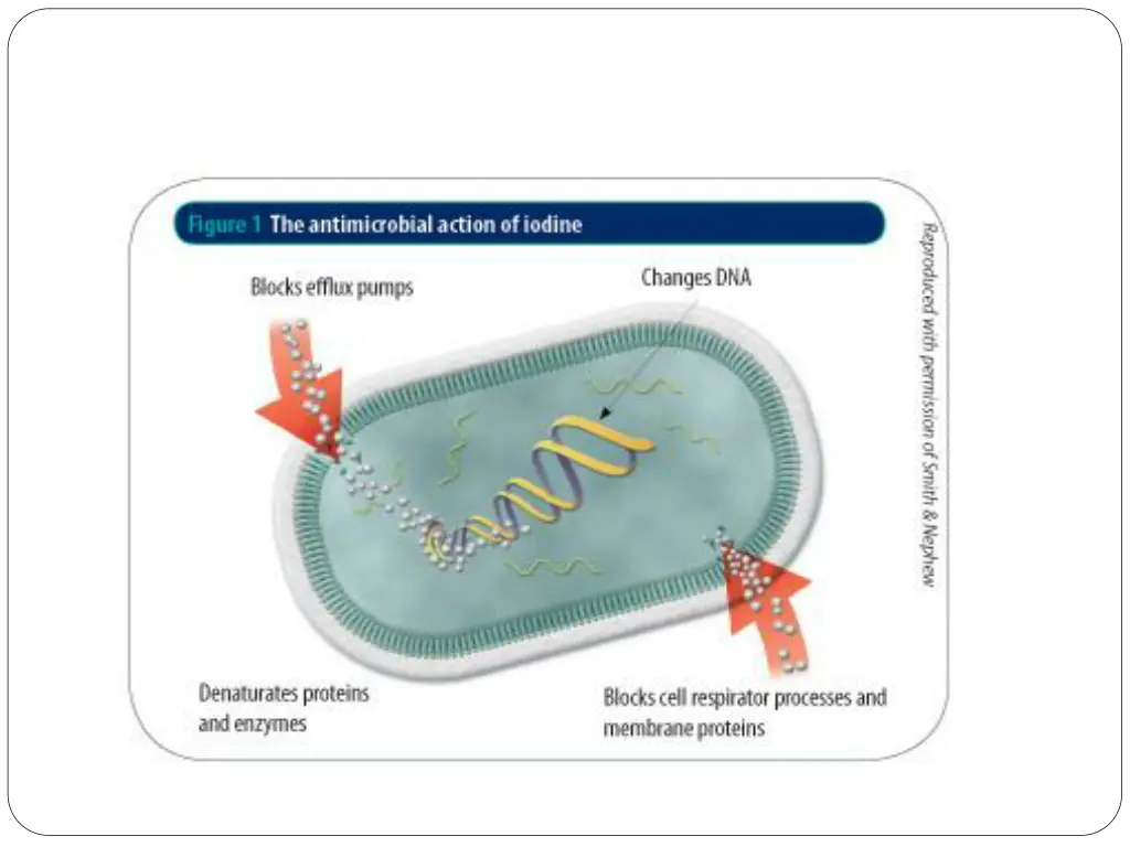 slide13