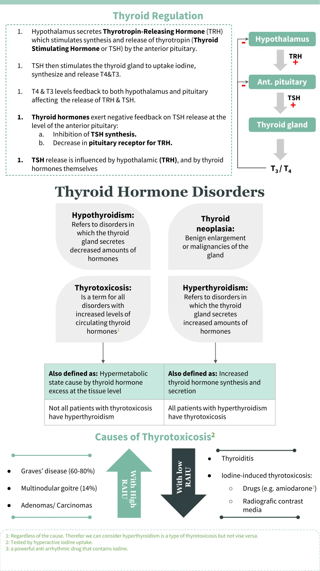 thyroid regulation