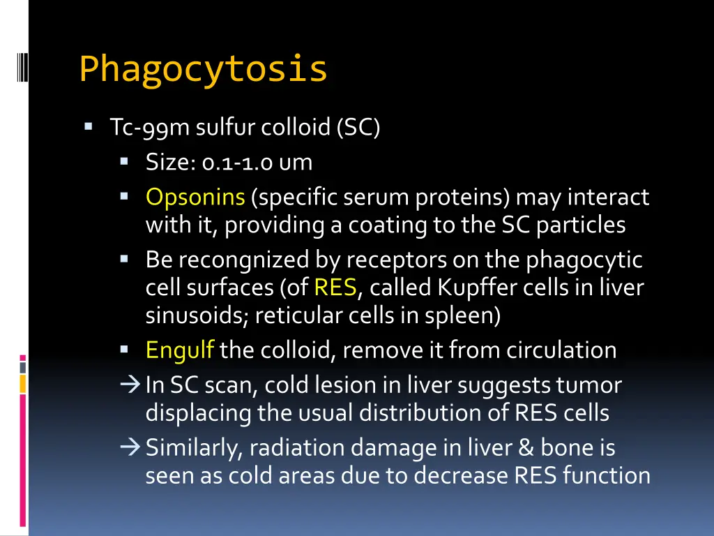 phagocytosis