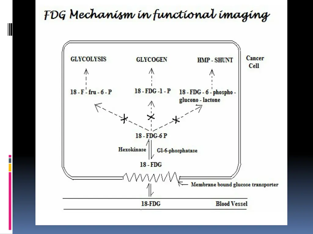 slide17