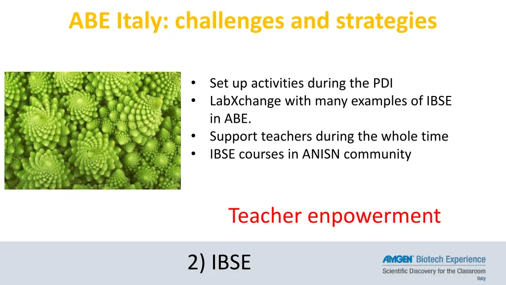 abe italy challenges and strategies 1
