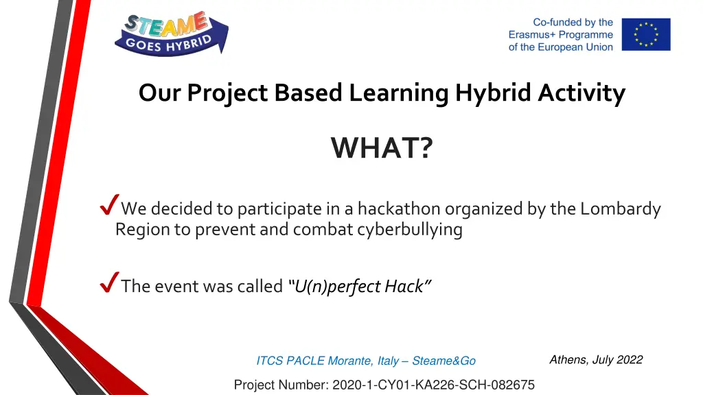 our project based learning hybrid activity