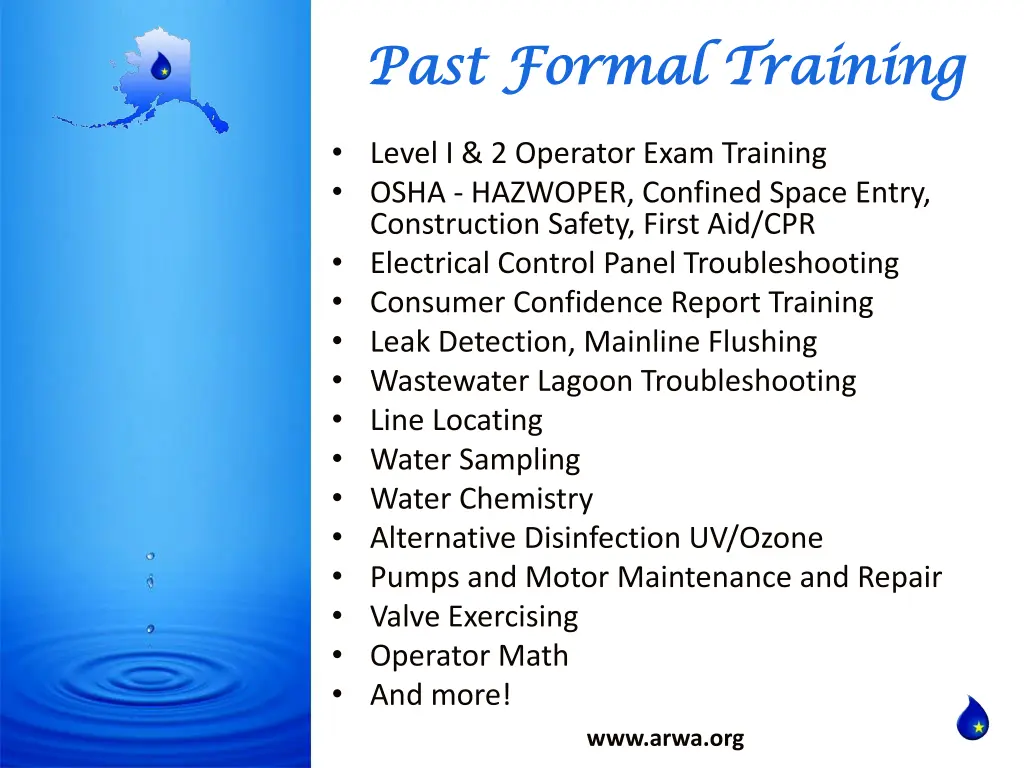 past formal training past formal training