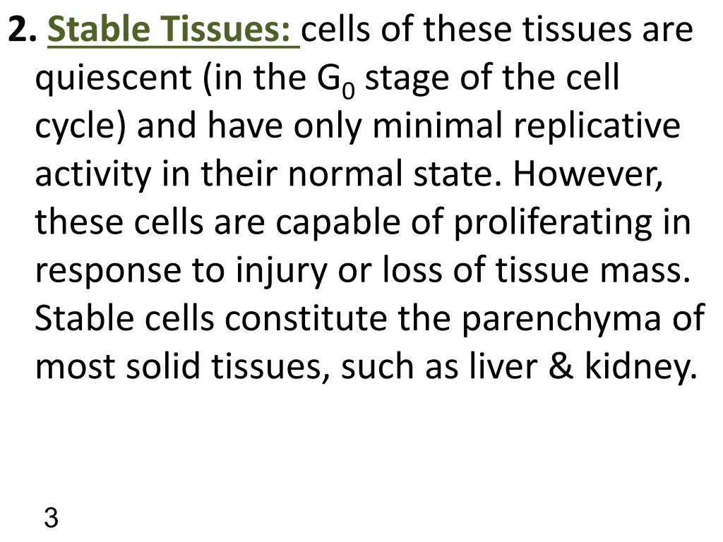2 stable tissues cells of these tissues
