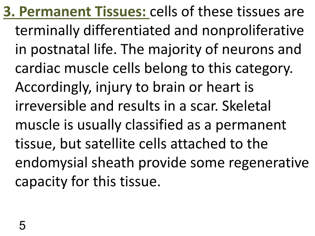 3 permanent tissues cells of these tissues
