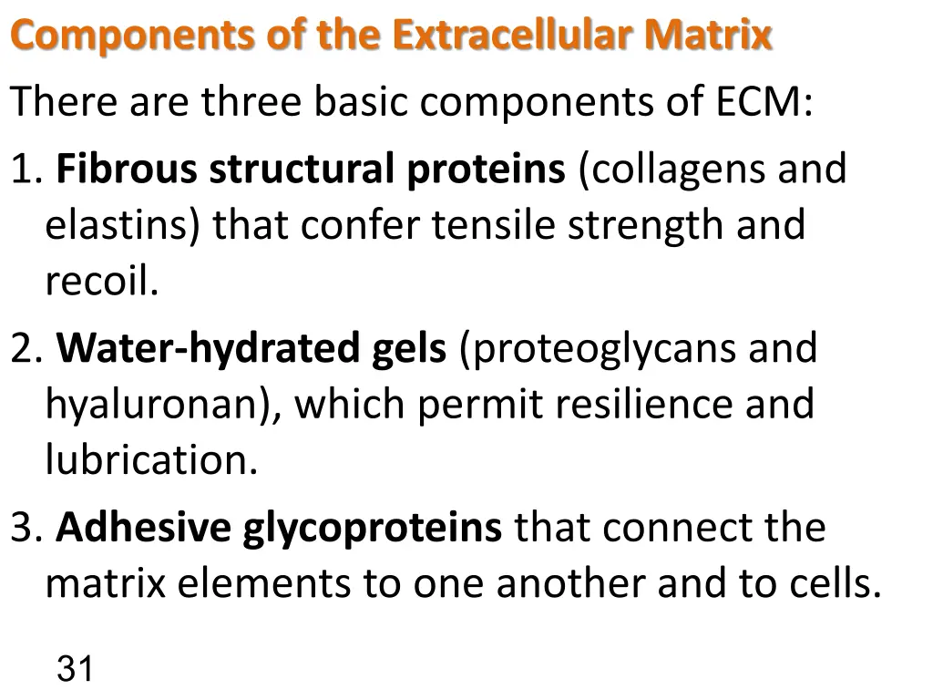 components of the extracellular matrix there