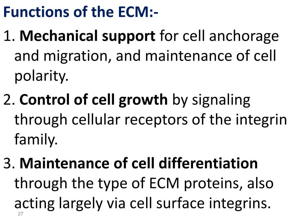 functions of the ecm 1 mechanical support