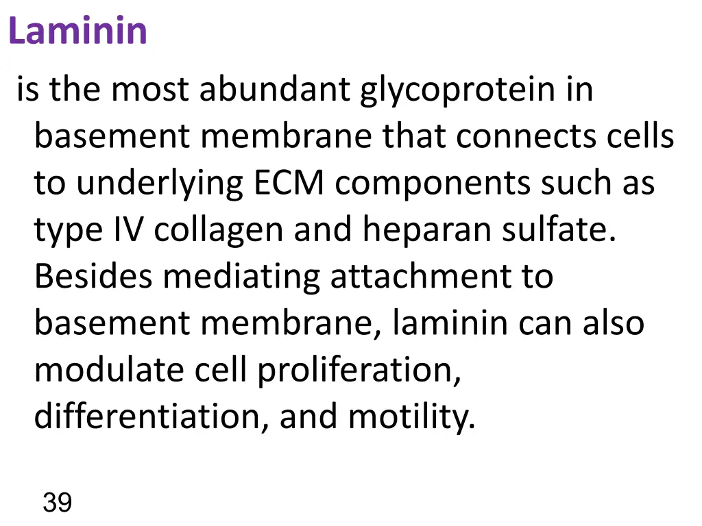 laminin is the most abundant glycoprotein