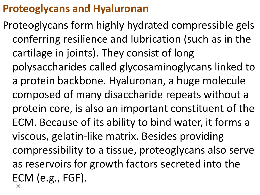 proteoglycans and hyaluronan proteoglycans form