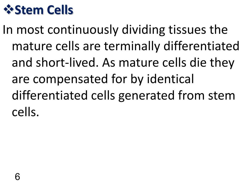 stem cells in most continuously dividing tissues