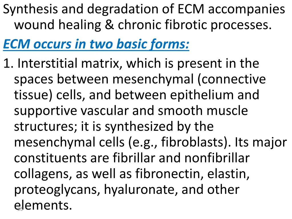 synthesis and degradation of ecm accompanies
