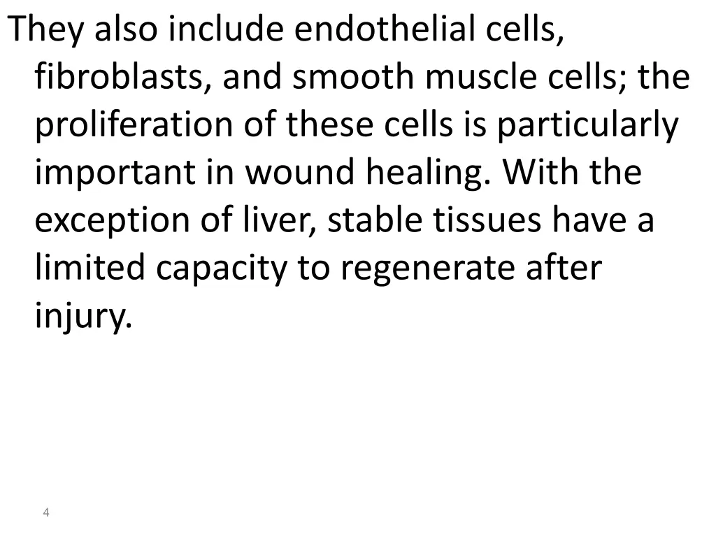 they also include endothelial cells fibroblasts