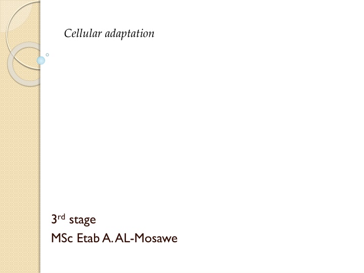 cellular adaptation