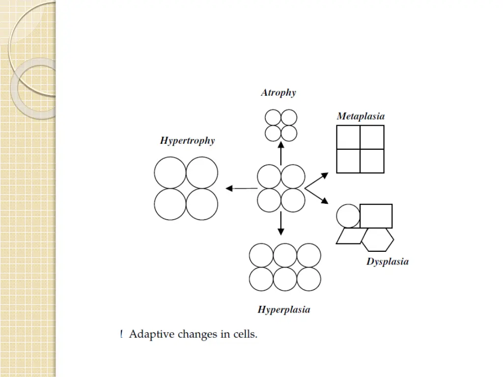 slide3