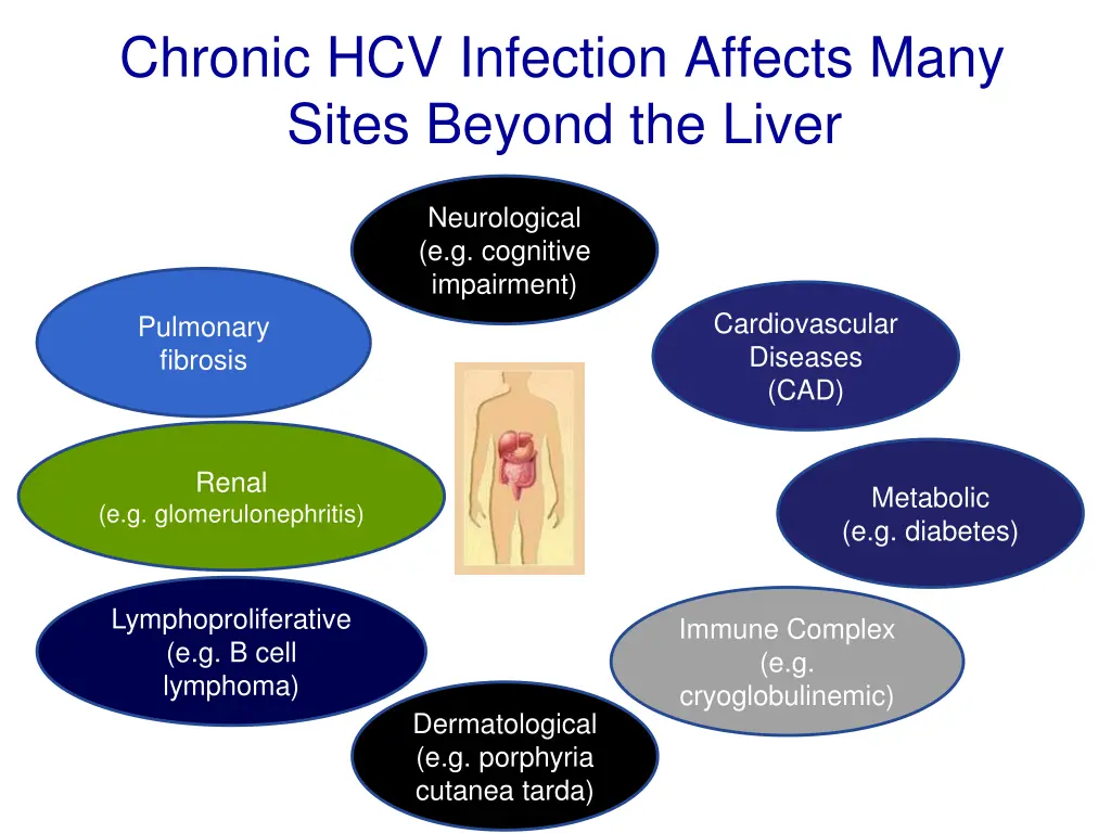 chronic hcv infection affects many sites beyond