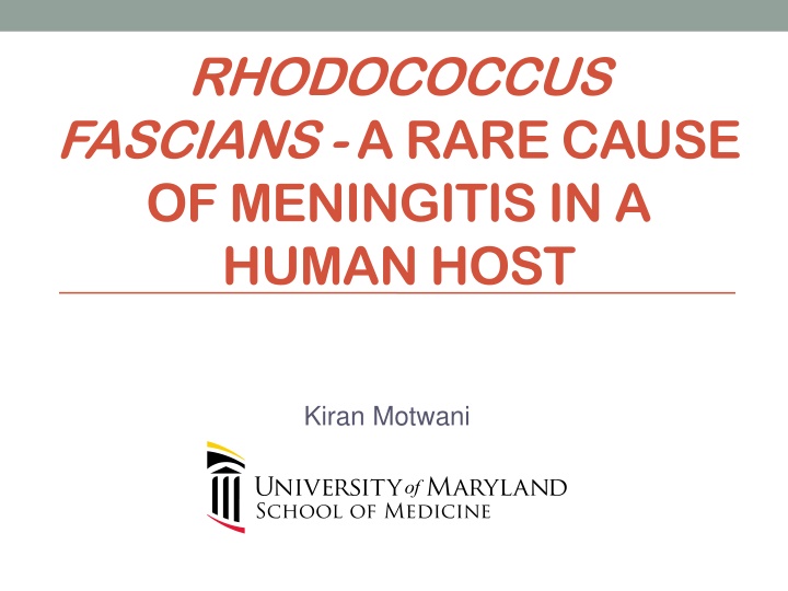 rhodococcus fascians a rare cause of meningitis