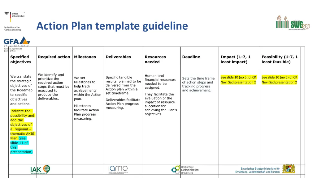 action plan template guideline