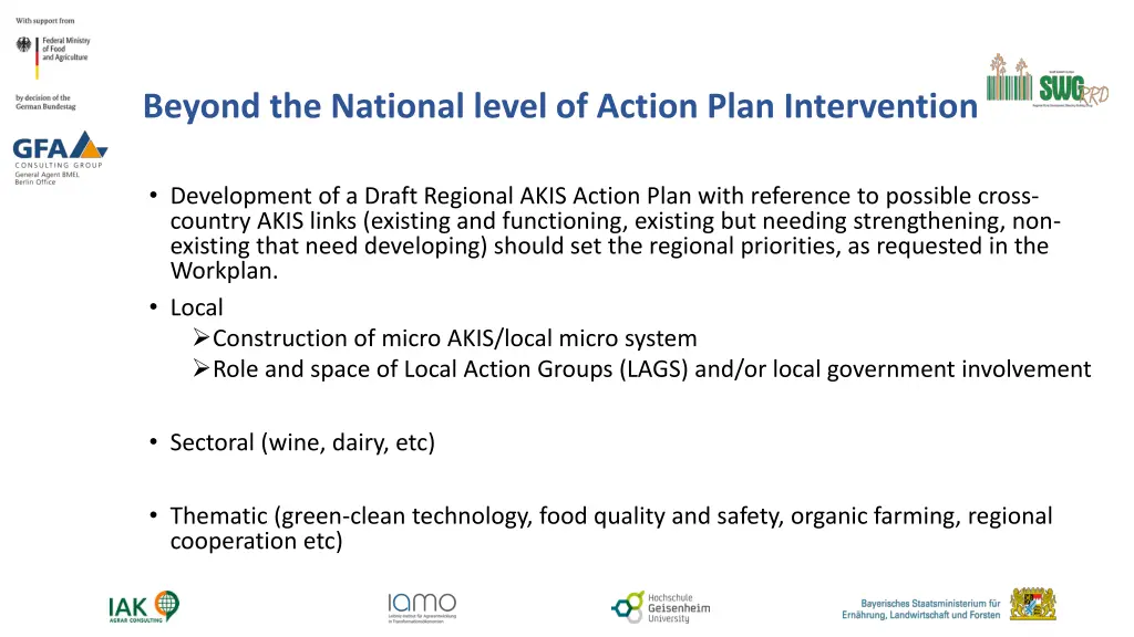 beyond the national level of action plan