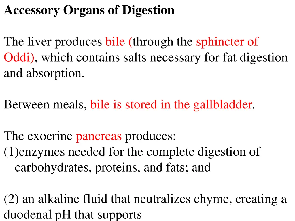 accessory organs of digestion