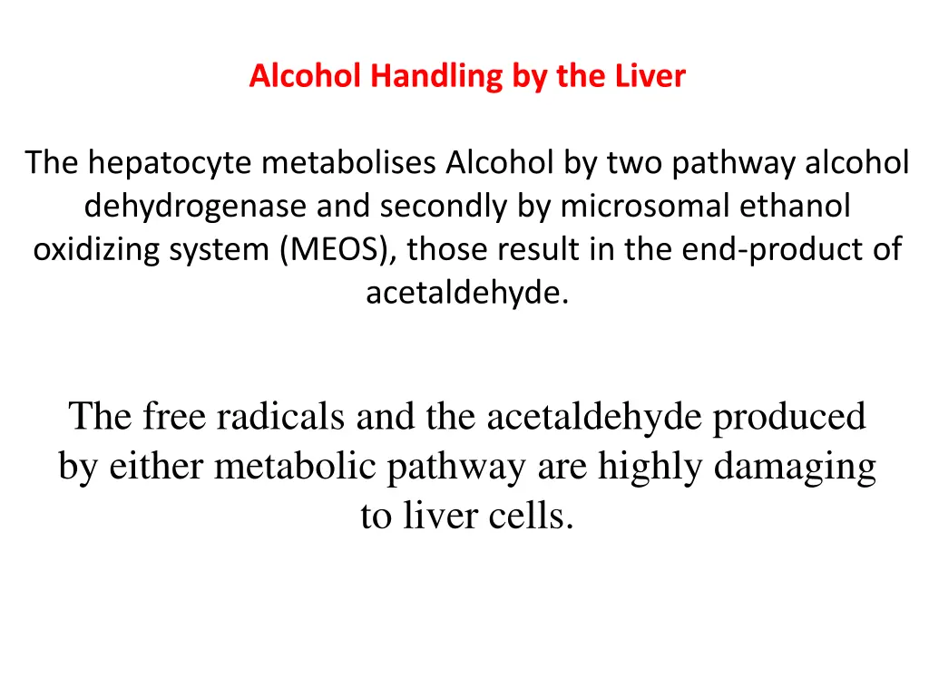 alcohol handling by the liver
