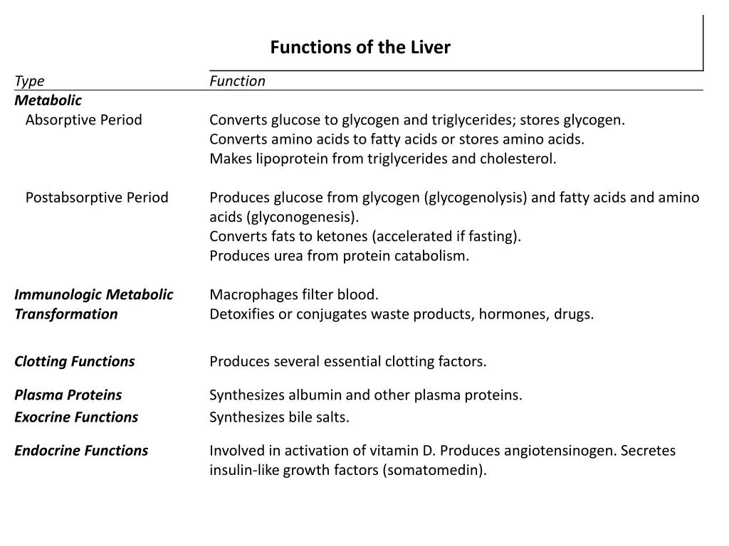functions of the liver