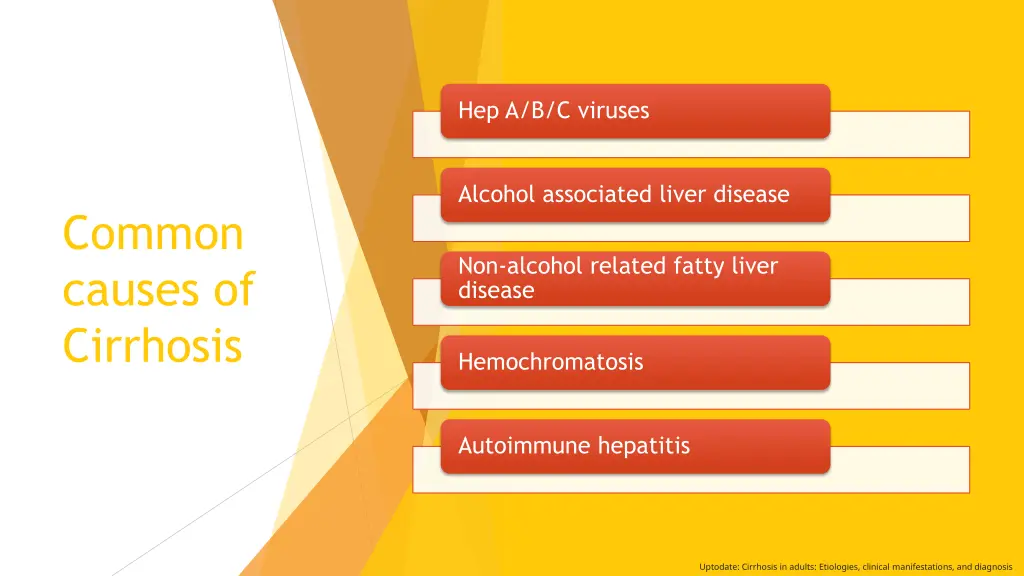 hep a b c viruses