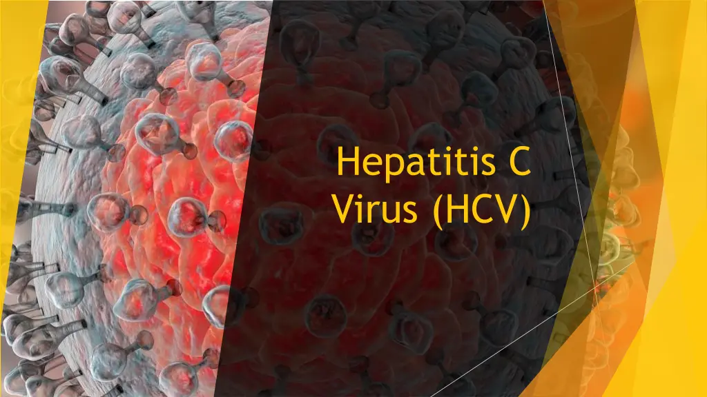 hepatitis c virus hcv