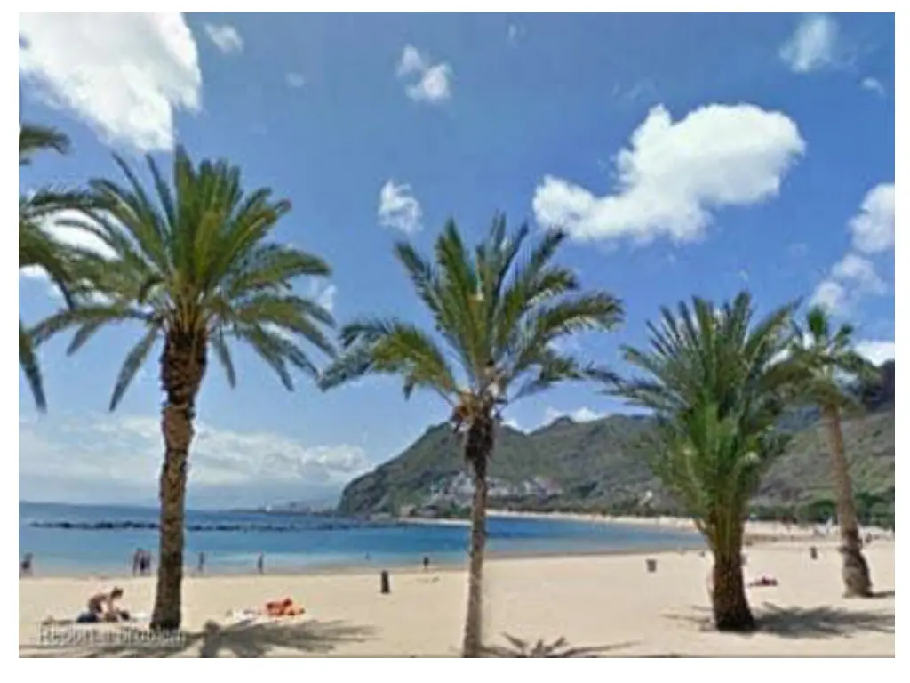image result for google image beach