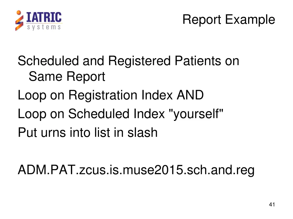 report example
