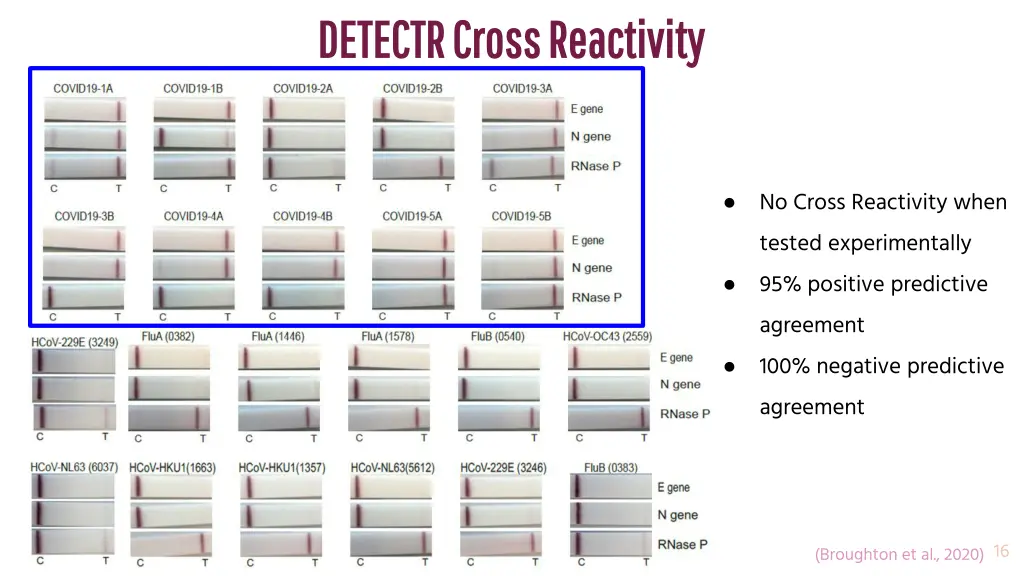 detectr cross reactivity detectr cross reactivity