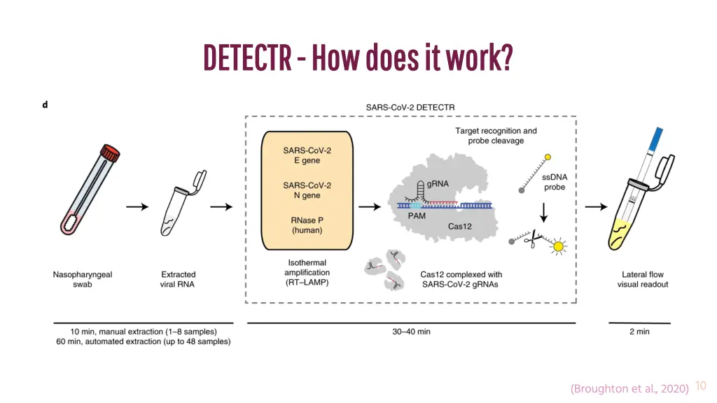 detectr detectr how does it work how does it work 1