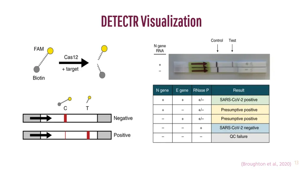 detectr visualization detectr visualization