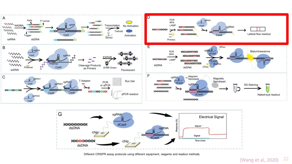 different crispr assay protocols using different