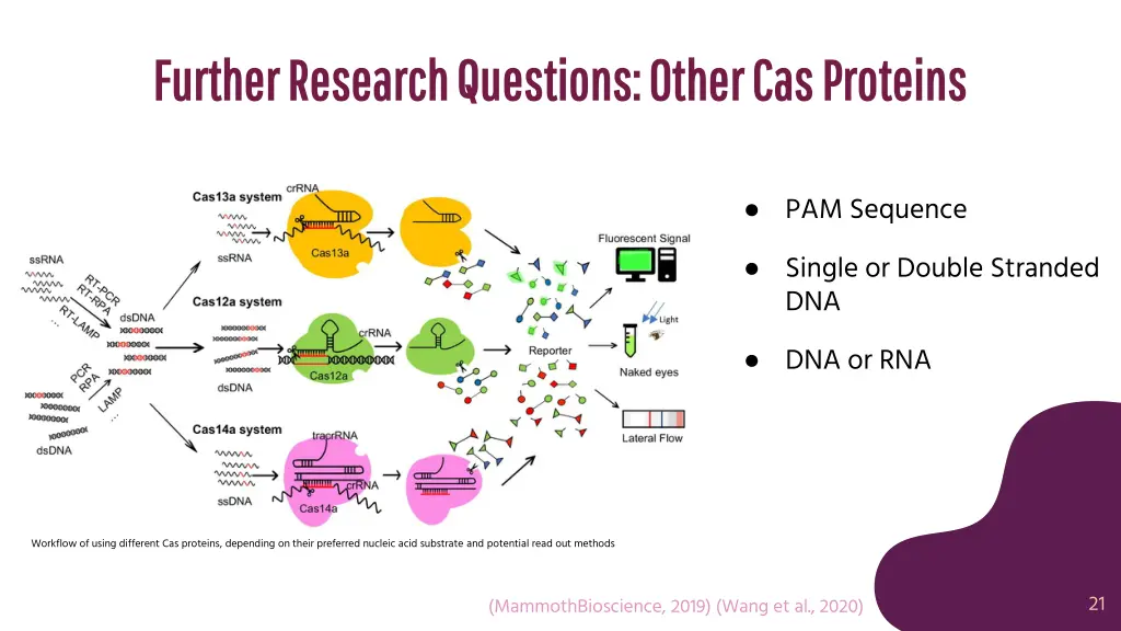 further research questions other cas proteins