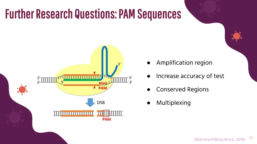 further research questions pam sequences further