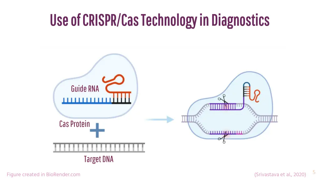 use of crispr cas technology in diagnostics