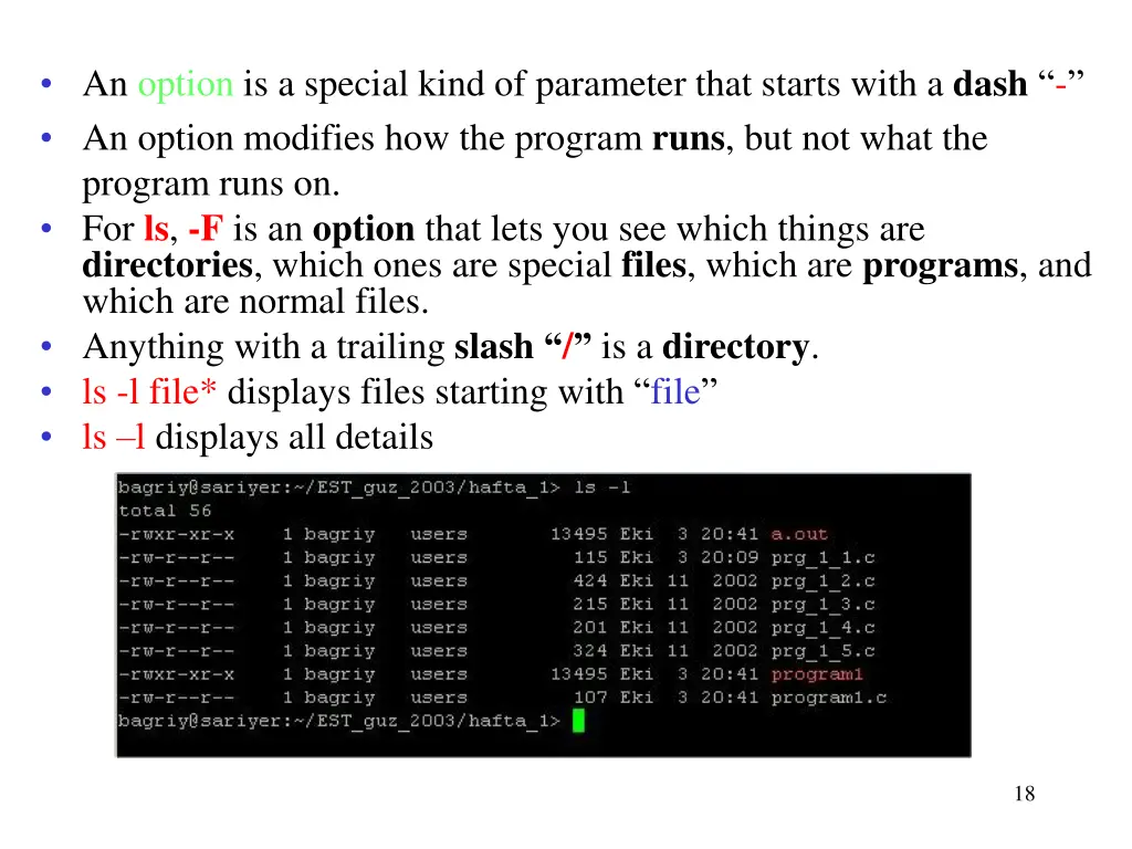 an option is a special kind of parameter that