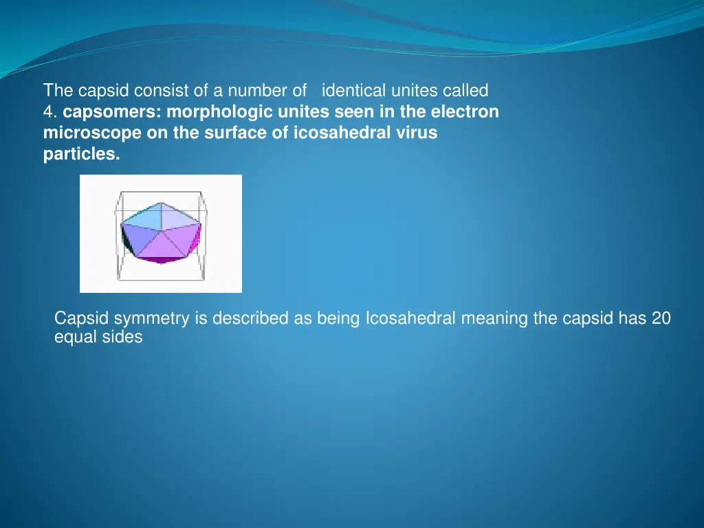 the capsid consist of a number of identical