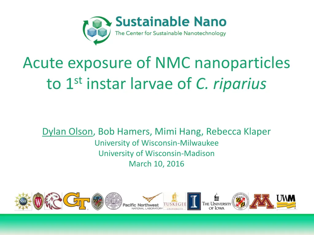 acute exposure of nmc nanoparticles