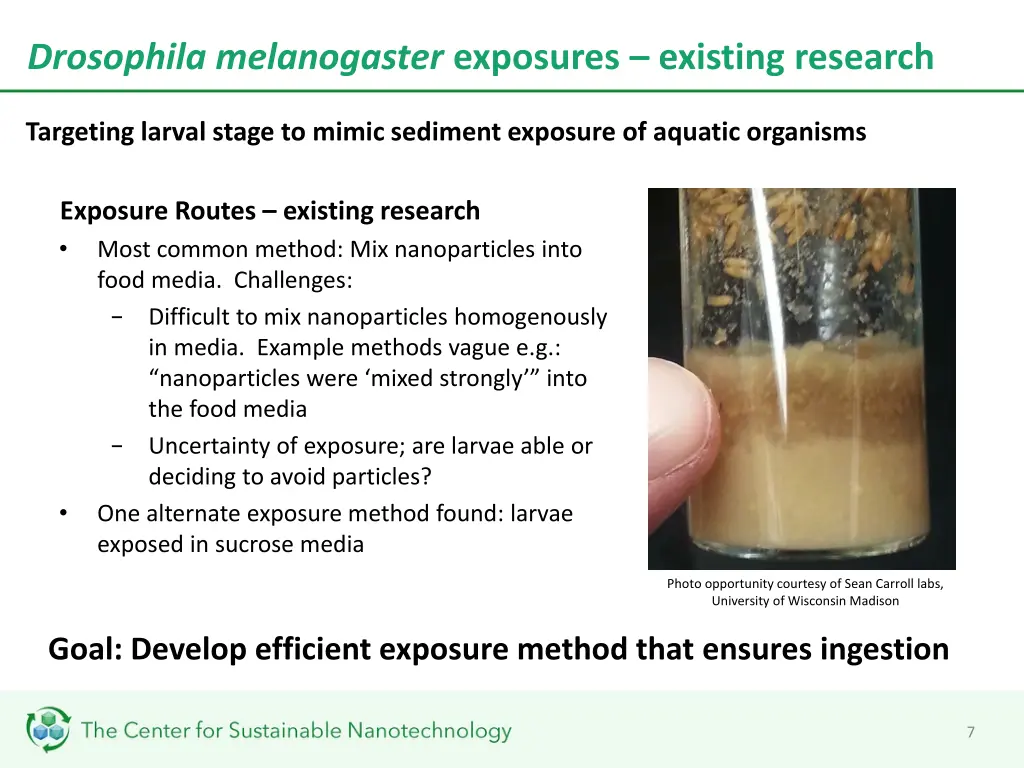 drosophila melanogaster exposures existing